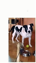 TRUENO